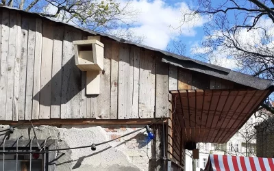 Neue Nistkästen