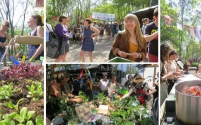 Jungpflanzentauschmarkt am 5. Mai