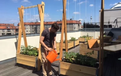 Eine neue Dachterrasse entsteht!