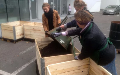 Neuer Gemeinschaftsgarten in der Urania Berlin