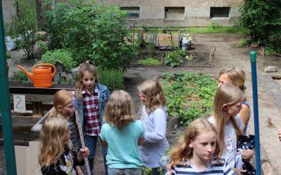 Partizipative Gartensprechstunden in Schulen