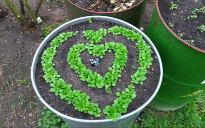 Mit Dank für eine wunderschöne erste Saison…