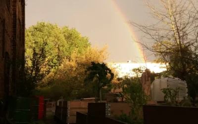 13. Dezember: Gutsgarten Winterversammlung