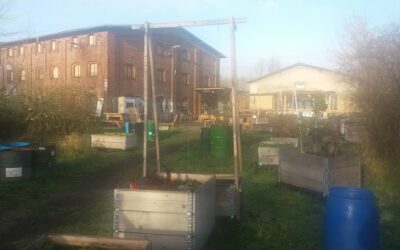 21. Juni: Urbanes Gärtnern als Teil ökologischer Sozialarbeit