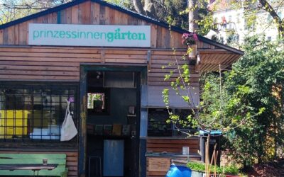 Jungpflanzenverkauf im Hofladen ab April