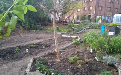 Workshops, Gartenarbeit und Geselligkeit: Auch im Winter lohnt sich ein Besuch im Gutsgarten…