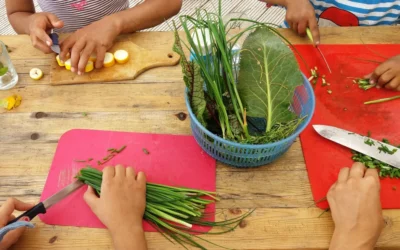 Kinder erfahren den Garten durch vielseitiges Ferienprogramm