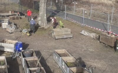 Ein Neues Zuhause für den Gutsgarten