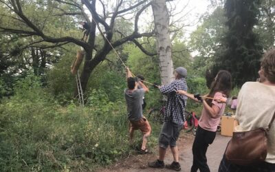 Die Klotzbeute zieht ein