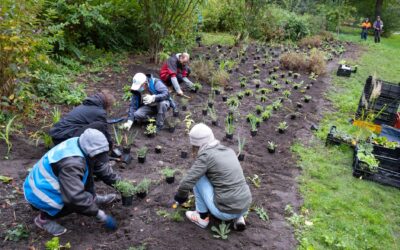 Parkhausmeister:innen-Pflanzaktion in der Hasenheide