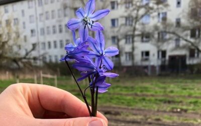 Blaues Wunder