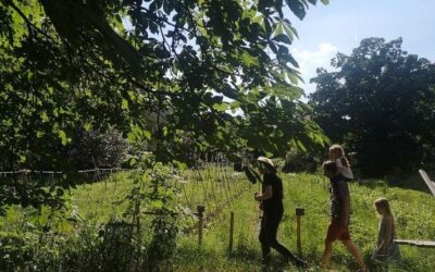 An Urban Garden Brings New Life To Berlin Cemeteries
