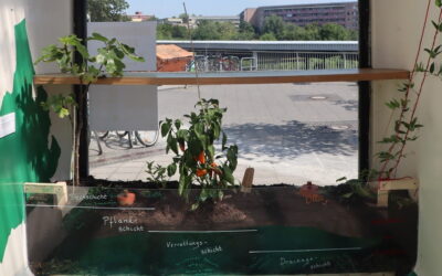 Ausstellung ›Produktive Region‹ in Hellersdorf