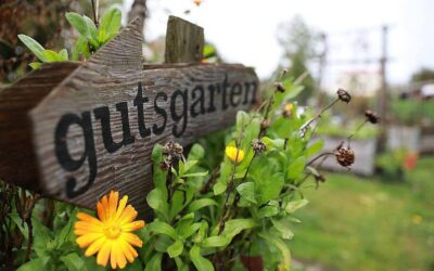 Herbstfest im Gutsgarten am 27. September 2025
