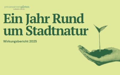 Unser Wirkungsbericht 2025