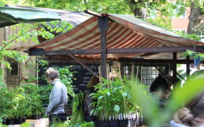 Macht mit beim Jungpflanzenmarkt 2026