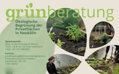 Kostenlose Grünberatung in Neukölln