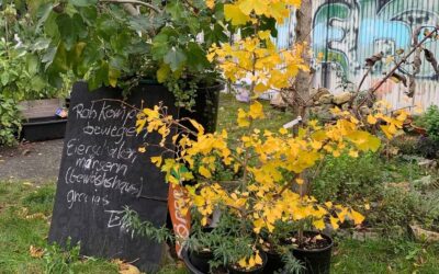 Nach der Saison ist vor der Saison!