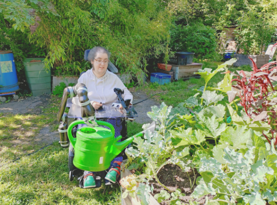 Inclusive Paradise – Wie Gemeinschaftsgärten Inklusion fördern