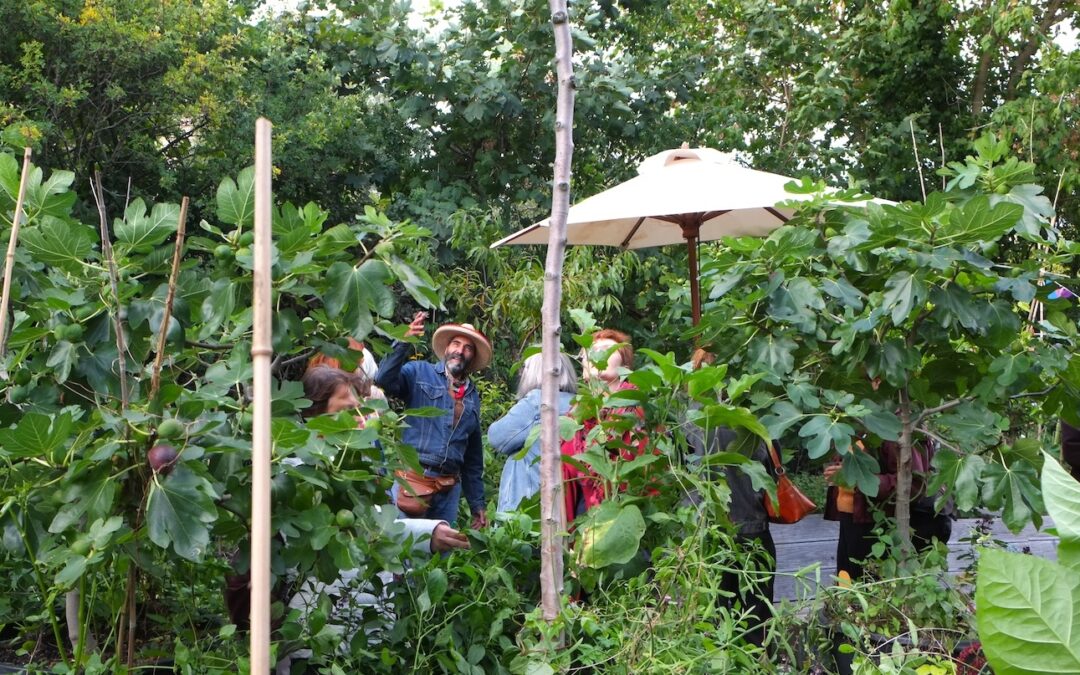 Gartenfest im Rollberg Paradise