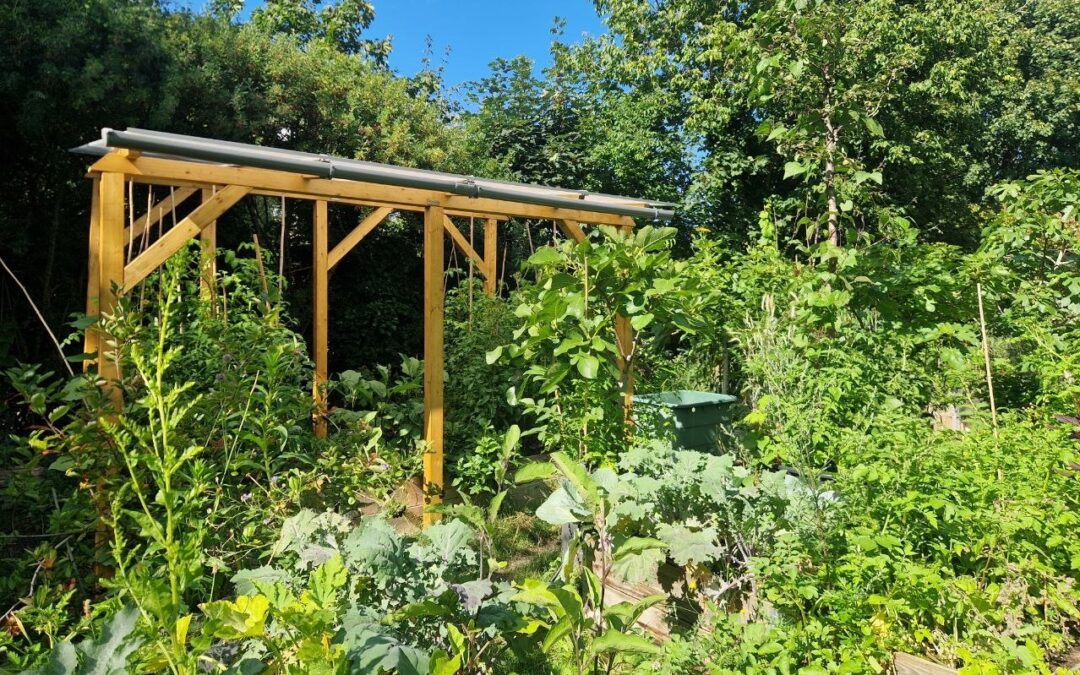 Von Tomaten, Suchthilfe und Orten der Schönheit