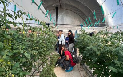 AGRI Social Training Kurs I in Oradea